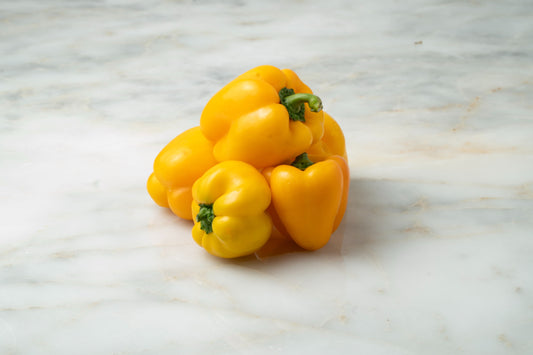 Capsicum Yellow  (250g)